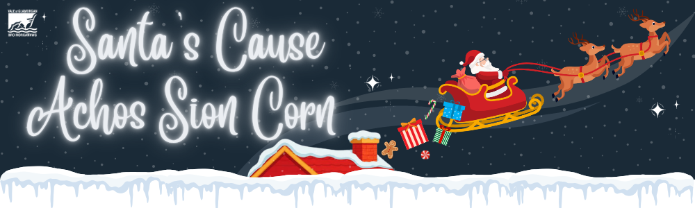 Santas Cause Billingual banner with logo