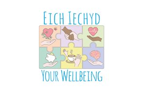 Wellbeing Jigsaw Pieces