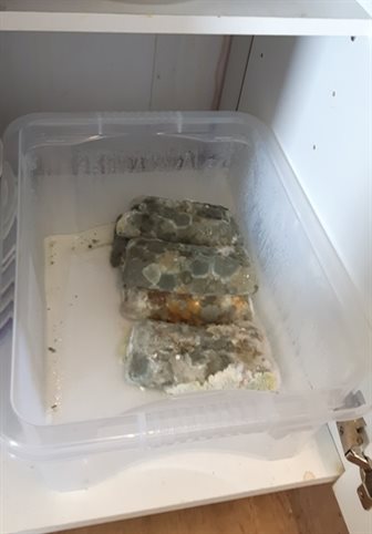gone off food