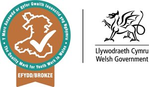 Bronze Youth Work Quality Mark Award