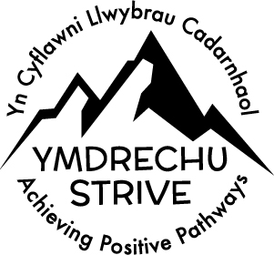 STRIVE Logo